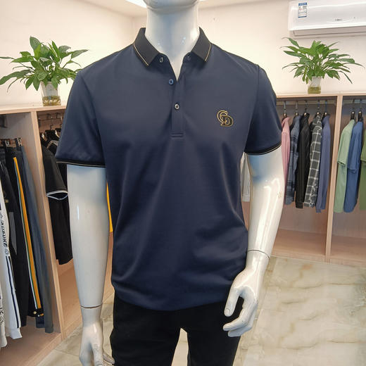 男式T恤男士PoloT恤打底衫男装翻领半袖体恤修身  T228250* 商品图0