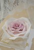 玫瑰花蛋糕（翻糖装饰提前4小时预定） 商品缩略图1