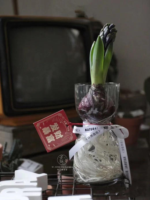 宜家 淡灰色迷你小花瓶10 商品图2