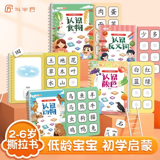 【斗半匠】识字启蒙书宝宝撕拉书幼儿识字卡片 商品图0