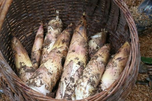 德清春笋5斤，江浙沪包邮 商品图5