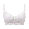 都市丽人WISECOOL内衣AB薄3/4杯蕾丝文胸三排无钢圈LB32D3 商品缩略图4