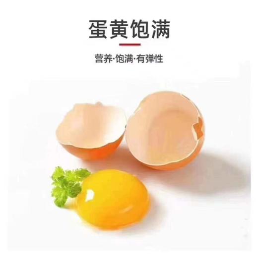 千禧农黄金小蛋30枚+咸鸭蛋6枚 商品图2