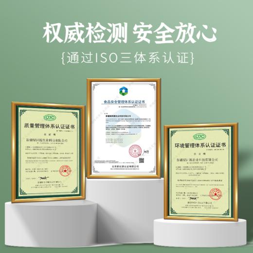 绿洲果实红花籽油  一级籽油 商品图3