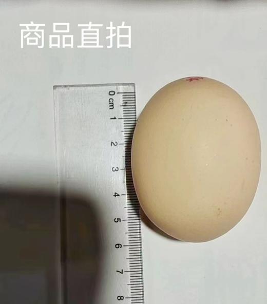 千禧农黄金小蛋30枚+咸鸭蛋6枚 商品图4