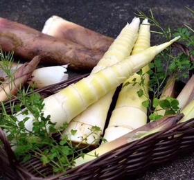 德清春笋5斤，江浙沪包邮