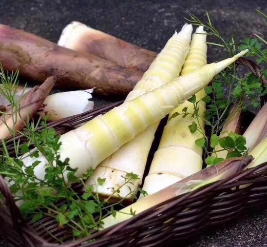 德清春笋5斤，江浙沪包邮 商品图0