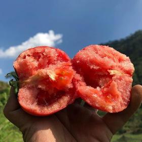 普罗旺斯水果西红柿 | 山人优选【京东包邮】沙甜可口，汁水丰盈！农家良心食材、无催红、无农药、无残留