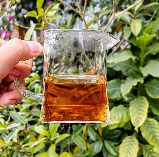 8月10日中午12点【积分兑换200元+100积分】【2008年早春甘露老生茶】农业部认可产品；当年线下实体爆品；！纯正15年老生茶味道；严选勐海古树料；357g/饼 【只有26饼！每个ID限购3份】 商品图4