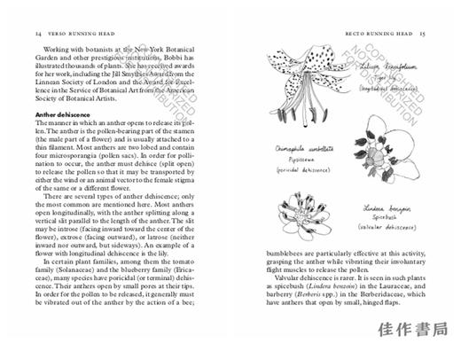 Florapedia: A Brief Compendium of Floral Lore / 花卉百科：花卉知识简编 商品图3