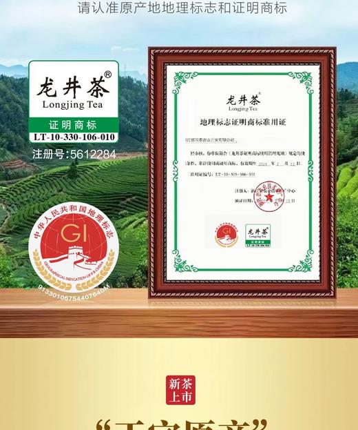 【2025年新茶！下单立即发货】悠谷春 特级 早春龙井 100g/罐（天猫同款） 商品图2