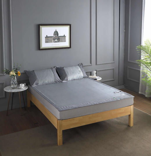 冰冰柔清凉席二件套 商品图2