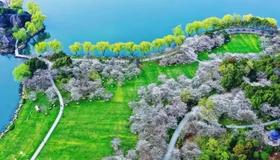 奢壕绍兴599『2晚鑫洲海湾大酒店』逛王牌景点柯岩风景区-兜率天宫-瓜渚湖赏樱：含2早4正，纯玩三日游