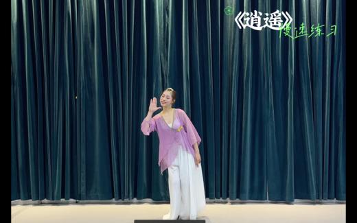 林老师《逍遥》慢速视频 商品图0