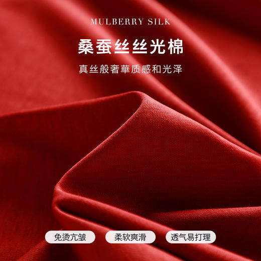 【79.9元任选2件】蚕丝丝光棉长袖T恤打底衫秋季圆领内搭T恤女#异业福利 商品图3