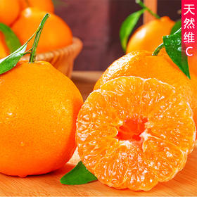 新鲜水果四川春见耙耙柑净重5斤80mm+大果