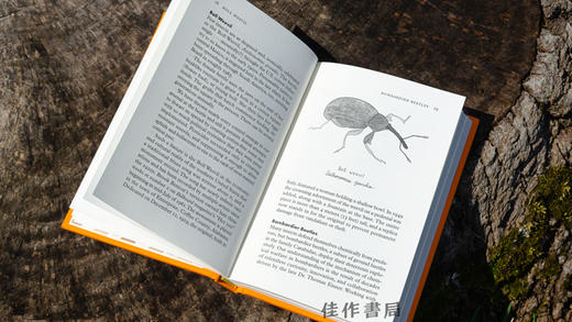 Insectpedia: A Brief Compendium of Insect Lore / 昆虫百科：昆虫知识简编 商品图2