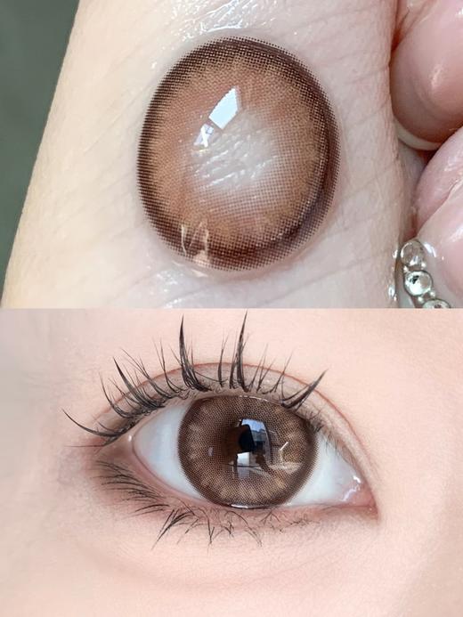 【大直径】PAPADOX-蛇竭美人-14.5mm【半年抛 0-800度 无525/575】着色14.0mm 商品图2