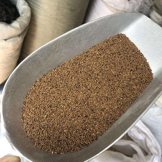 菟丝子 粒粒饱满，圆润质实，吐丝率高 常用规格 商品图4