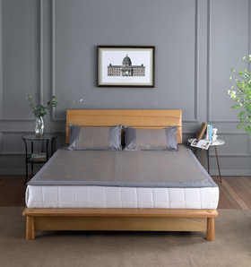 冰冰柔清凉席二件套