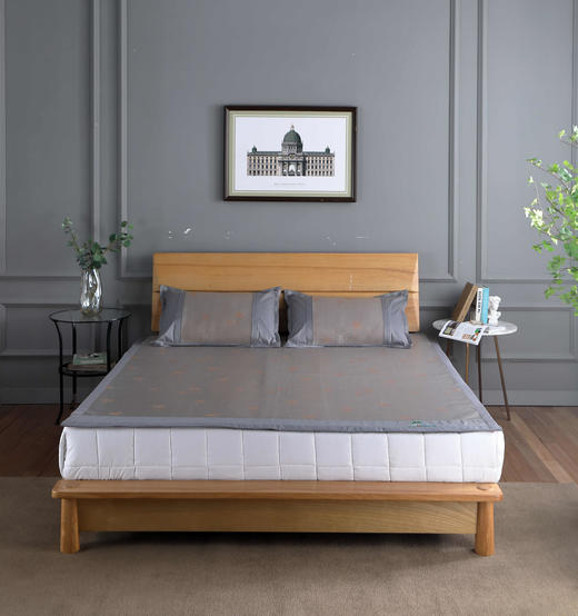 冰冰柔清凉席二件套 商品图0