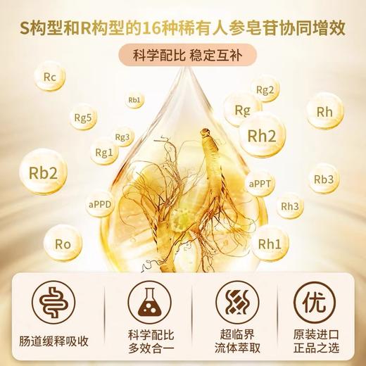 【蓝十字】斐尔特 稀有高纯度人参皂苷粉胶囊 商品图5