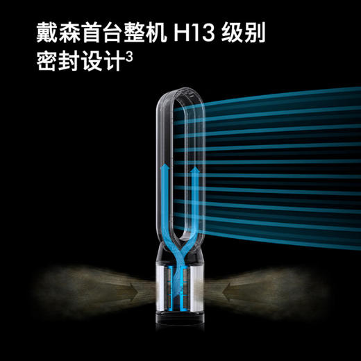戴森 DYSON TP09 空气净化风扇 净化循环二合一 整屋循环净化 去除甲醛 黑金色 商品图3