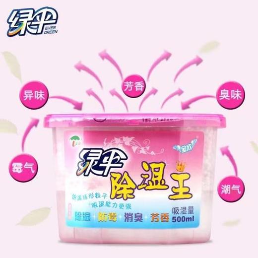 绿伞除湿王500ml--26631301 商品图0