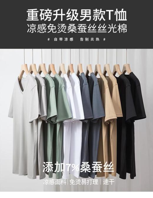 男士圆领 V领桑蚕丝抗皱基础百搭T 绅士休闲体感佳 商品图0