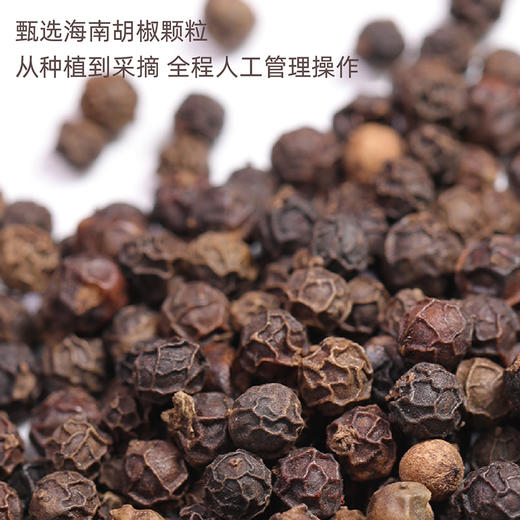 自营-黑胡椒粉30g/瓶 商品图2