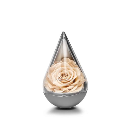 【星座水滴】ROSEONLY诺誓  永生玫瑰 星座经典 水滴玫瑰 红色  十二星座守护色 送女友爱人生日礼物 商品图3