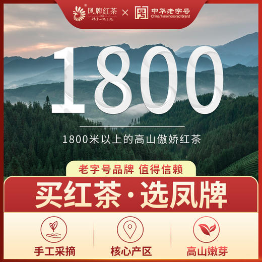 【国馆专属】凤牌红茶 茶叶 云南滇红经典58金芽工夫红茶 商品图2
