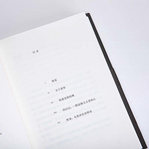 游隼 商品图1