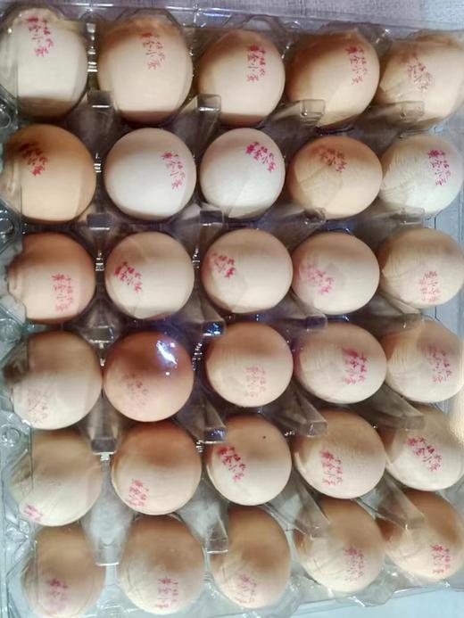 千禧农黄金小蛋30枚+咸鸭蛋6枚 商品图3