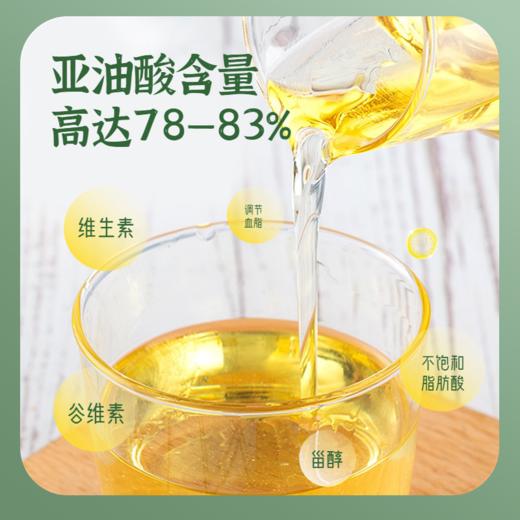 绿洲果实红花籽油  一级籽油 商品图2