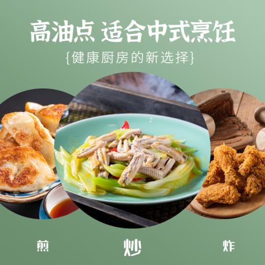 绿洲果实红花籽油  一级籽油 商品图4