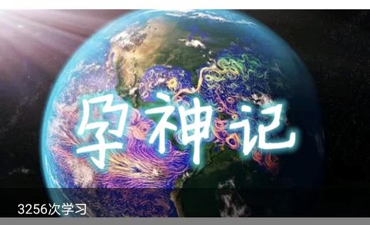 孕神记 商品图0