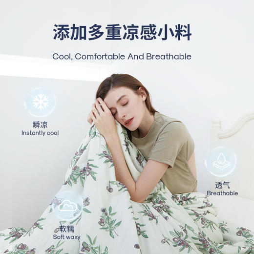 Domiamia成人凉感被 商品图4