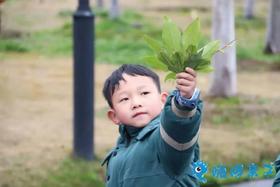  植树造林回顾| “绿”植心间，青山常在，种下孩子们的责任、勇气和希望！ 