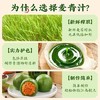 500ml 乔康 麦苗汁 麦青汁 青团专用青汁 家用小麦汁青麦汁 商品缩略图3