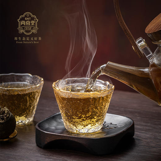 海南特产茶🌿【尚南堂 鹧鸪小青柑·雨林轻养系列】海岛雨林遇上幸福柑 严选茶果，一茶三韵，14道核心工艺，45天匠心巨制 商品图2