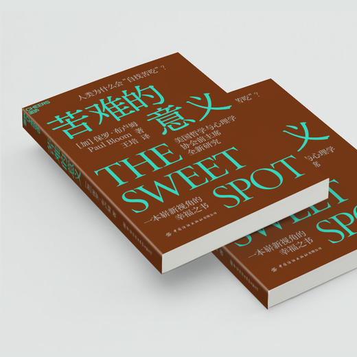 湛庐|苦难的意义 商品图4