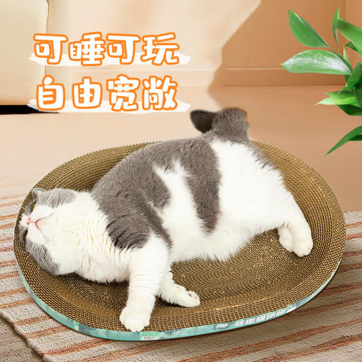 【新人专享】金多乐椭圆形/碗形猫抓板 商品图4