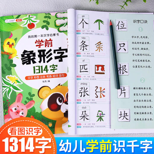 【斗半匠】学前识千字 象形字1314字 3-6岁幼小衔接 商品图1