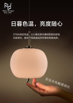 苹果灯NSLT-SU-N024010180TG*00，产地：中国，触摸开关，可调节亮度和高度。