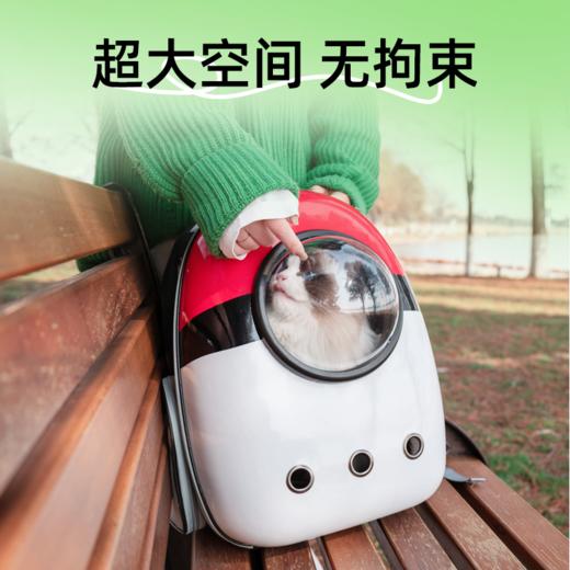 猫包外出便携太空舱双肩背包猫背包可手提狗狗出行宠物用品大容量 商品图1