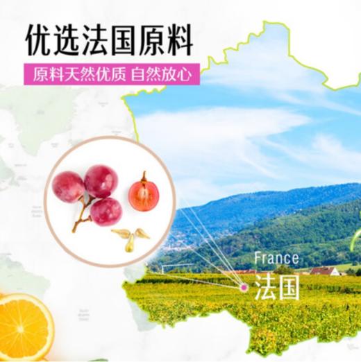 Swisse葡萄籽营养片 300片 商品图2