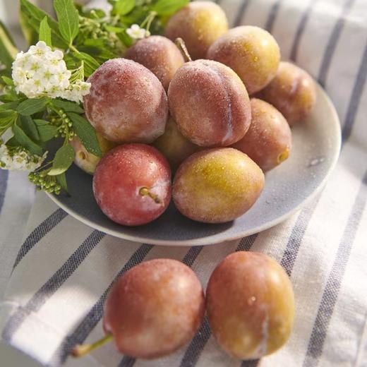 智利空运琥珀西梅（2JDD） 商品图3