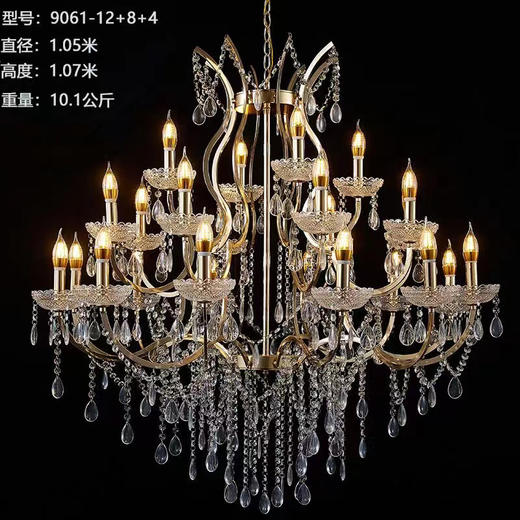 9061-12+8+4吊灯（运费自理） 商品图0