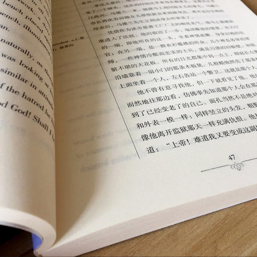 悲惨世界 英文原版+中文版 名著学英语书籍英汉互译中英文双语对 商品图4